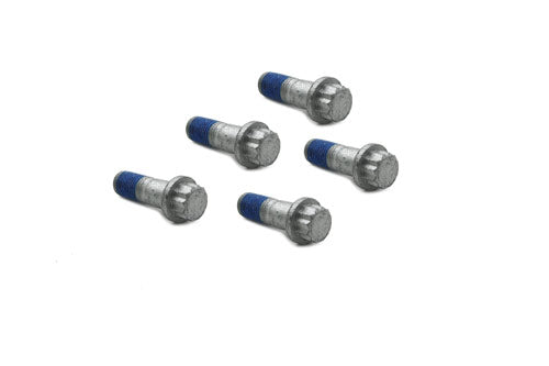 Schraube Bremssattel (M12 X 35MM)