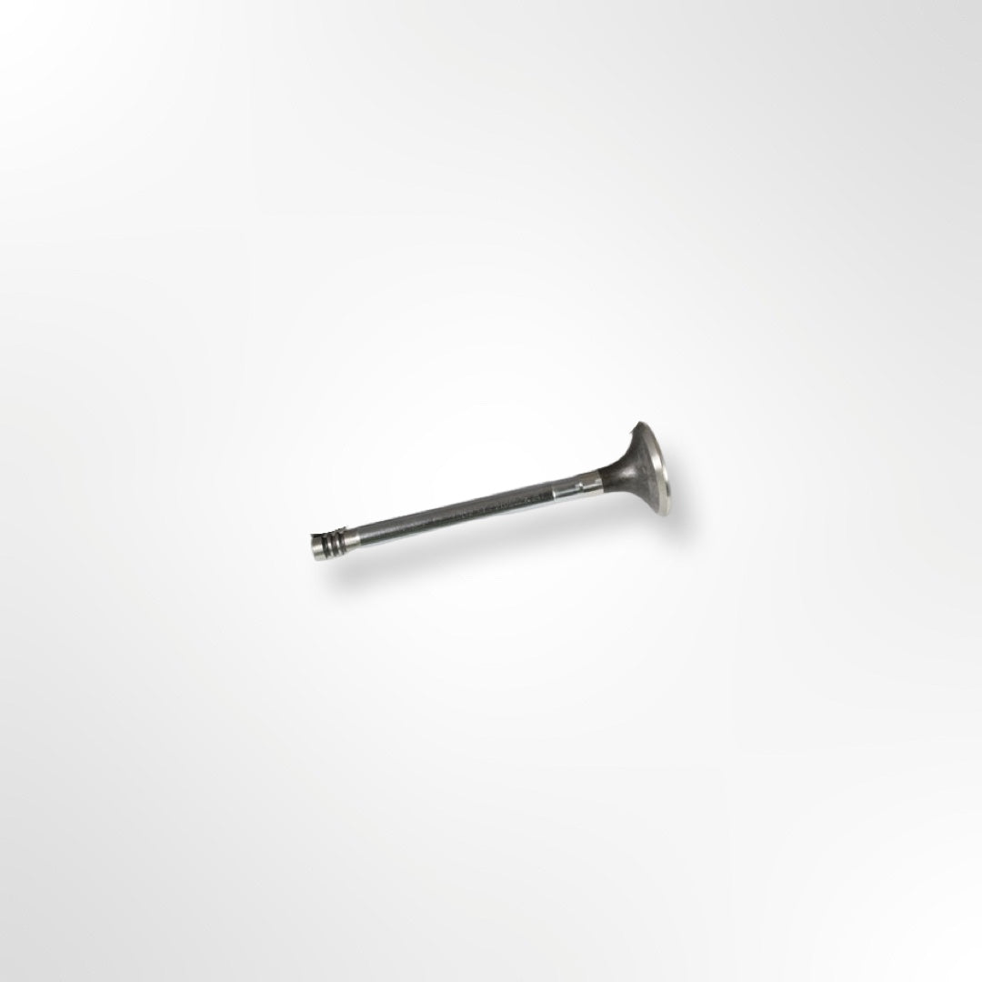 Auslassventil Diesel (ab 36627329C)